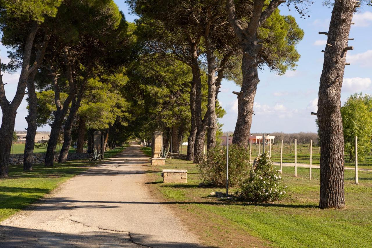 Bed and Breakfast Masseria Zanzara Porto Cesareo Exteriér fotografie